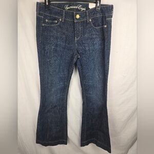 NWT American Eagle Outfitters Womens Midnight Flare Stretch Dark Blue Jean Sz 10